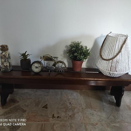 La Casa Di Nonna Mimi Daire Abbadia Lariana Dış mekan fotoğraf